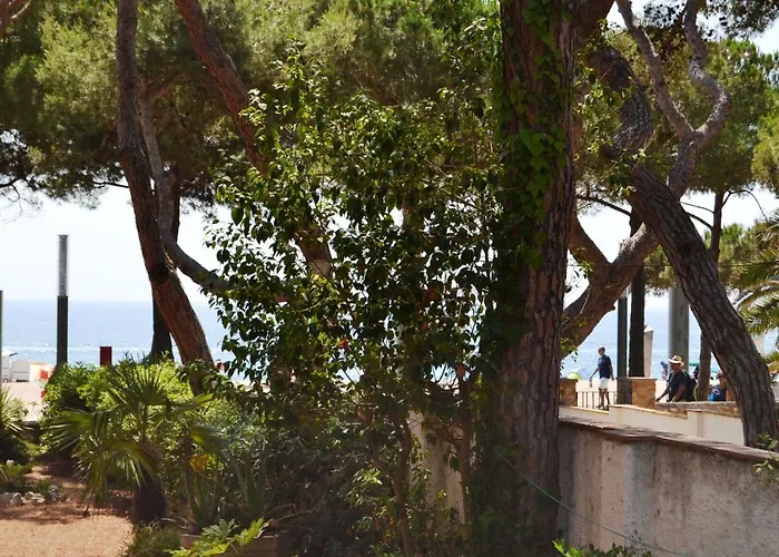 Apartament Con Jardin *