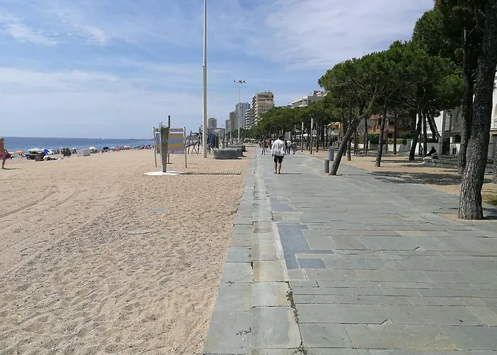Con Jardin Lejlighed Platja d'Aro