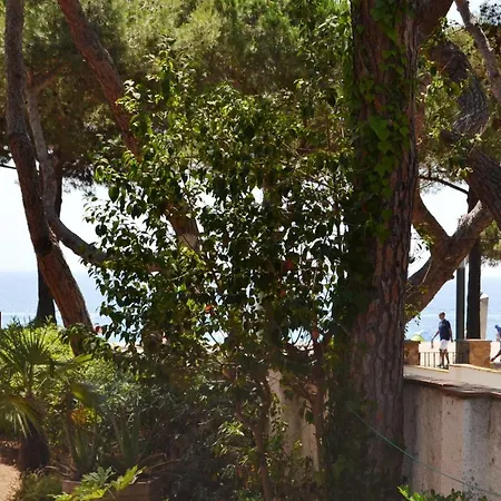 Appartement Con Jardin *